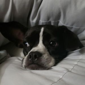 Meet your Posher, Cari